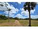 View of the property with mature palms and private drive at 6321 279Th E St, Myakka City, FL 34251