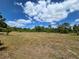 Expansive area with mature trees, palms and abundant space to build at 6321 279Th E St, Myakka City, FL 34251