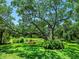 Serene backyard setting featuring a red swing beneath a large, mature tree, set in a well manicured lawn at 6612 Butlers Crest Dr, Bradenton, FL 34203