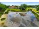 Enjoy picturesque views of a backyard that includes a large pond with birds and lush green landscaping at 9101 Yarberry St, Sarasota, FL 34240