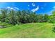 Lush backyard showcasing a well-maintained lawn, mature trees, and meticulous landscaping at 9734 Carnoustie Pl, Bradenton, FL 34211