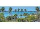 Scenic water view showcasing palm trees, boats, and the coastline in a serene setting at 101 S Gulfstream Ave # 5J, Sarasota, FL 34236