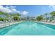 Stunning resort-style pool surrounded by palm trees and lounge chairs for ultimate relaxation and enjoyment at 10105 Canaveral Cir, Sarasota, FL 34241