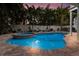 Beautiful backyard pool and spa surrounded by lush landscaping, lounge chairs, and brick pavers at 113 Maple Ave, Anna Maria, FL 34216