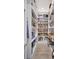 Well-organized walk-in pantry with ample shelving for storing groceries and household items at 11913 Blue Hill Trl, Bradenton, FL 34211