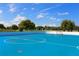 Community Hockey Court at 14230 Cattle Egret Pl, Lakewood Ranch, FL 34202