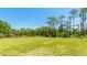 Well-maintained backyard with lush green grass, mature trees, and secure fencing for privacy at 222 High Point Dr, Venice, FL 34292