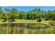 Picturesque pond surrounded by lush greenery, creating a serene and natural outdoor environment at 222 High Point Dr, Venice, FL 34292