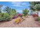 Serene backyard featuring lush landscaping, including colorful bougainvillea and mature trees at 3036 Rose St, Sarasota, FL 34239