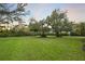 Large backyard showcasing a lush lawn and mature trees, offering ample space for outdoor activities at 3415 162Nd E Ave, Parrish, FL 34219