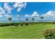 Manicured backyard with sprawling lawn, flowering bushes, palm trees, and ocean view for ultimate outdoor enjoyment at 3803 Sun Eagle Ln # 203, Bradenton, FL 34210