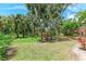 Expansive green spaces filled with beautiful palm trees at 3803 Sun Eagle Ln # 203, Bradenton, FL 34210