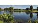 Scenic view of a pond reflecting the golf course and trees, showcasing the natural beauty at 4691 Las Brisas Ln, Sarasota, FL 34238