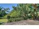 Lush backyard with mature trees and landscaping at 5403 Mang Pl, Sarasota, FL 34238