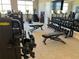 State-of-the-art gym equipped with a variety of fitness machines and free weights at 6290 Mesa Gln, Bradenton, FL 34203