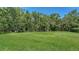 Green lawn with mature trees in the background at 8019 Indigo Ridge Ter, Bradenton, FL 34201