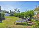 Grassy backyard with lounge chairs, lush hedges, and palm trees under a clear blue sky at 2111 Ivory Pl, Sarasota, FL 34239