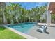 Immerse yourself in a private paradise with a stunning pool, spa, surrounded by lush greenery and swaying palm trees at 222 Willow Ave, Anna Maria, FL 34216