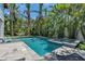 Backyard pool and jacuzzi surrounded by lush tropical landscaping offer a private oasis at 222 Willow Ave, Anna Maria, FL 34216