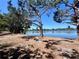 Picturesque lake view from the property's edge, framed by native Florida foliage at 238 Cape Harbour Loop # 104, Bradenton, FL 34212