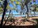 Scenic lake view featuring palm trees and native Florida landscaping at 238 Cape Harbour Loop # 104, Bradenton, FL 34212