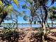 Scenic waterfront view showcasing serene water and lush trees, creating a tranquil and inviting atmosphere at 238 Cape Harbour Loop # 104, Bradenton, FL 34212
