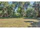 Spacious backyard features lush greenery, offering privacy and a natural setting at 2538 Lakeshore Cir, Port Charlotte, FL 33952