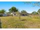 Expansive backyard with mature trees, offering ample space and a screened-in patio at 6547 Samoa Dr, Sarasota, FL 34241