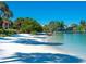 Scenic beach with palm trees, clear water, and lush vegetation along the shoreline at 7 Sandy Cove Rd, Sarasota, FL 34242