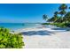 Expansive white sandy beach lined with palm trees and clear turquoise waters at 7 Sandy Cove Rd, Sarasota, FL 34242