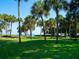 Lush green space with palm trees offering partial views of the ocean at 7 Sandy Cove Rd, Sarasota, FL 34242