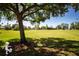 Exterior shot of a soccer field with bright green grass, a soccer goal and large shade trees at 7168 Chatum Light Run, Bradenton, FL 34212