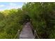 A wooden walkway with rope railings winds through a lush green landscape with trees at 78 Tidy Island Blvd, Bradenton, FL 34210