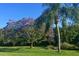 Expansive green lawn with a blooming jacaranda tree and palm, creating a serene park-like setting at 78 Tidy Island Blvd, Bradenton, FL 34210