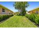 Expansive backyard with lush green lawn, bordered by hedges and mature trees at 7804 Edmonston Cir, University Park, FL 34201