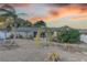 This backyard boasts palm trees, blooming flowers, and an enclosed lanai at 12805 Raysbrook Dr, Riverview, FL 33569
