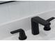 Sleek black bathroom sink fixtures and a modern sink, with clean lines that adds elegance to the space at 14009 Daniels Ave, Port Charlotte, FL 33953