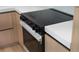 Sleek kitchen stovetop featuring a modern design, quartz countertops and updated appliances at 14009 Daniels Ave, Port Charlotte, FL 33953