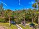 Picturesque backyard featuring mature palm trees, a serene pond, a picnic bench and lush greenery at 225 Hourglass Way # 101, Sarasota, FL 34242