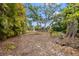 Spacious backyard with mature trees and lush landscaping at 2778 Greendale Dr, Sarasota, FL 34232