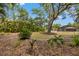 Serene backyard with mature trees and lush landscaping at 2778 Greendale Dr, Sarasota, FL 34232