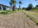 Expansive backyard featuring a well-maintained lawn, tall palm trees, and partial views of a home in the distance at 5115 Foxhall Rd, North Port, FL 34288