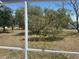 View of the backyard through the screened-in patio showcasing mature trees at 6882 Holo Ct, North Port, FL 34287