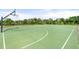 Community basketball court featuring a green surface with white lines, surrounded by lush greenery and trees at 14309 Carolina Sky Pl, Lakewood Ranch, FL 34211