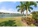 Scenic view of a large pond with palm trees and manicured landscaping, offering a serene and lush backdrop at 14309 Carolina Sky Pl, Lakewood Ranch, FL 34211
