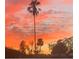 Beautiful sunset with orange skies behind silhouetted palm trees at 3336 Pembrook Dr, Sarasota, FL 34239