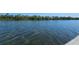 Calm waterfront view with lush green tree line showing the natural beauty surrounding the property at 3805 E Bay Dr # 302, Holmes Beach, FL 34217