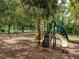 Community playground shaded by mature trees at 603 165Th E St, Bradenton, FL 34212