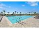 Long rectangular community pool with multiple lounge chairs and beautiful palm tree landscaping at 8612 Evening Dr, Sarasota, FL 34241