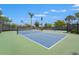 Well-maintained pickleball courts with surrounding landscaping, offering a fun and active recreational space at 11959 Tapestry Ln, Venice, FL 34293